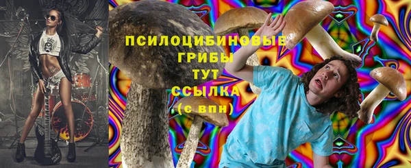 гидра Абдулино