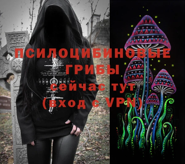 apvp Абинск