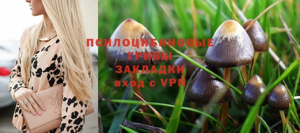 apvp Абинск